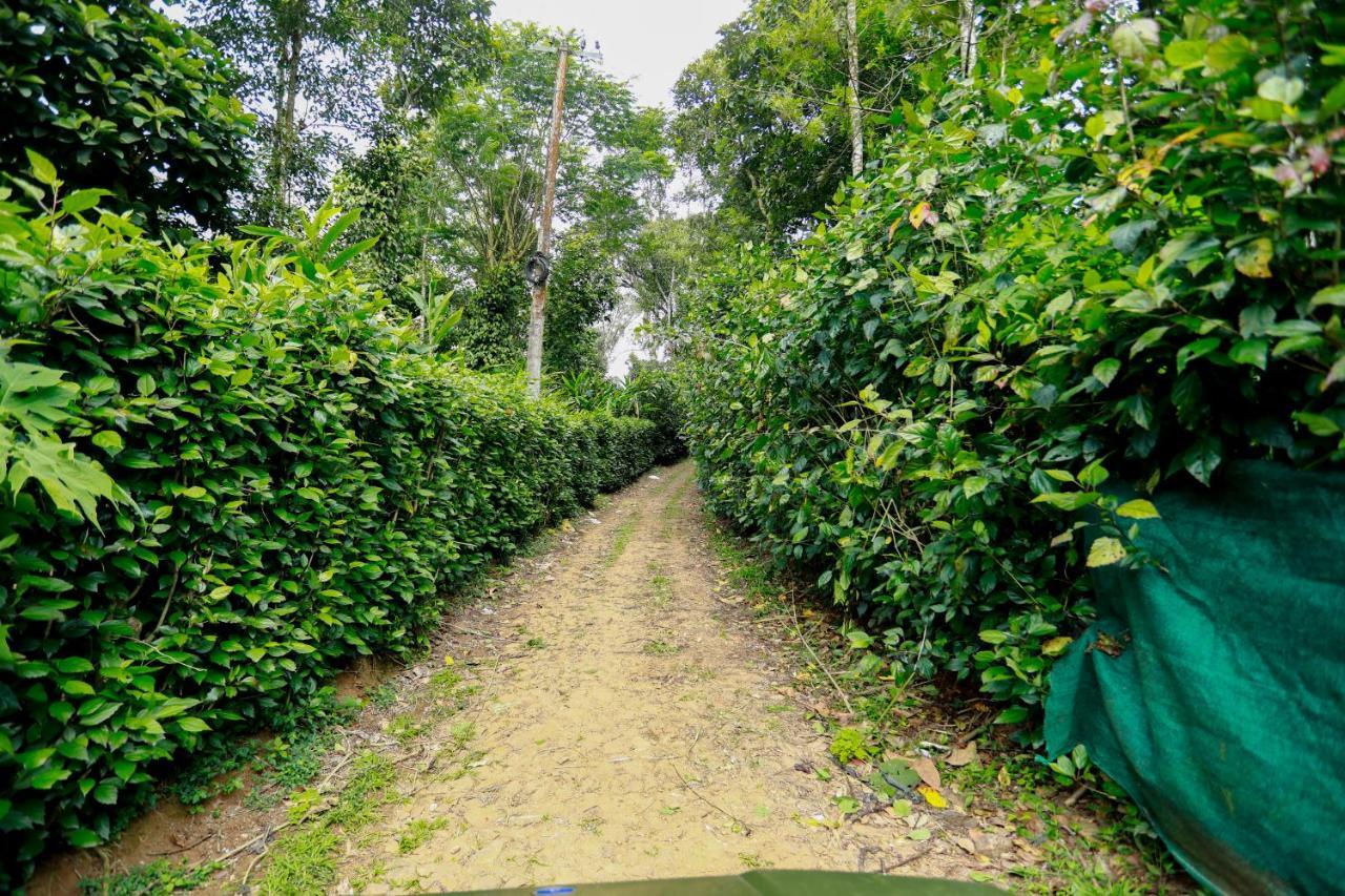 Vandanmedu Thekkady Kalarickal Heritage Bungalow מראה חיצוני תמונה