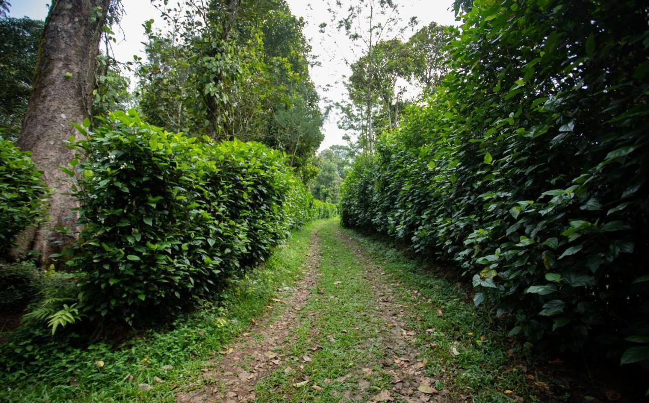 Vandanmedu Thekkady Kalarickal Heritage Bungalow מראה חיצוני תמונה